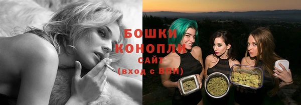 гидра Дмитров