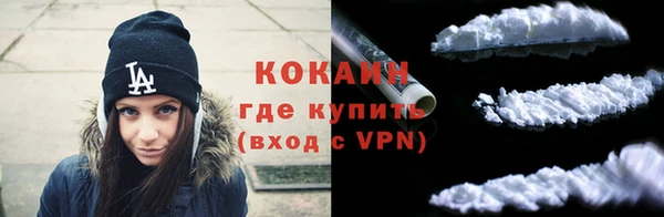 ECSTASY Дмитриев