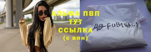гидра Дмитров