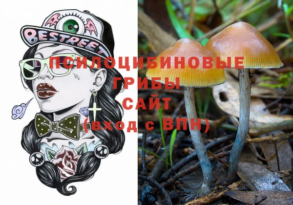 PSILOCYBIN Заводоуковск