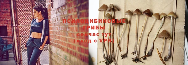 ECSTASY Дмитриев