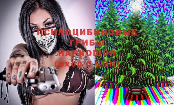 ECSTASY Дмитриев