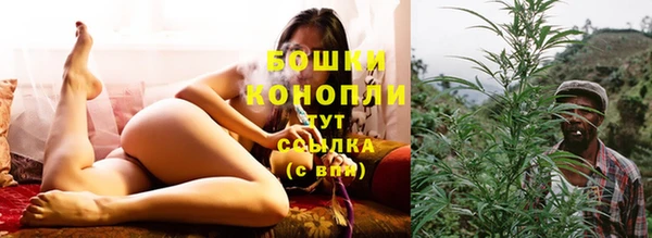 ECSTASY Дмитриев