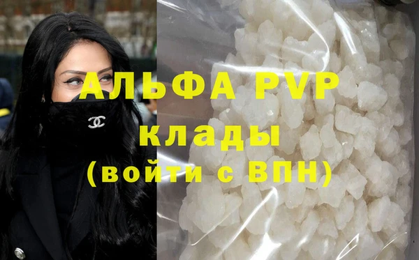 гидра Дмитров