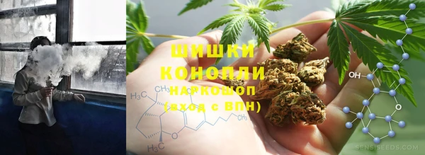 гидра Дмитров