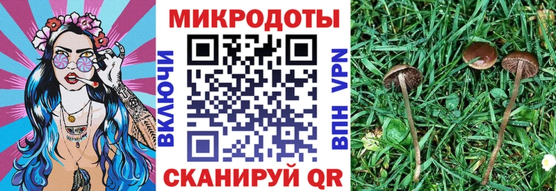 Псилоцибиновые грибы прущие грибы  Купить  Котельники 